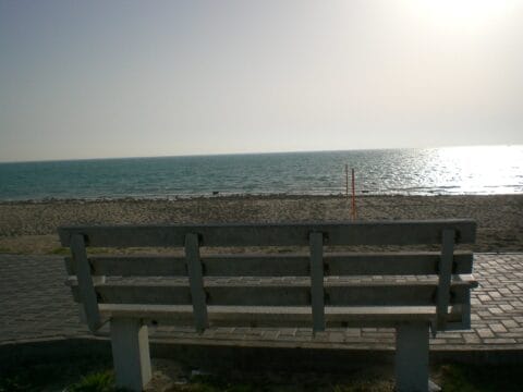 صمت المدن الباردة